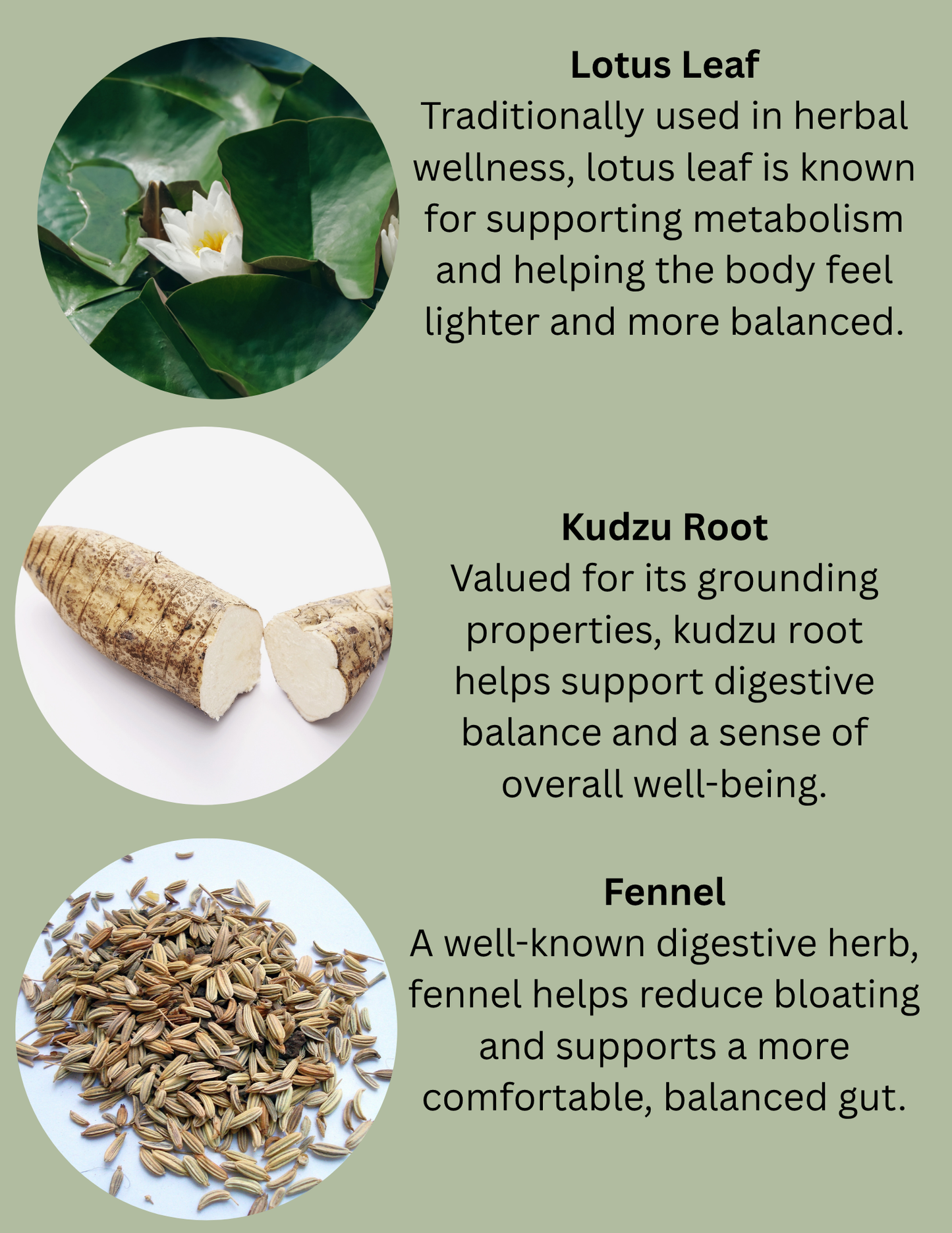 ALÍVIATE RESET — 14 Day Detox